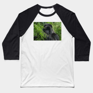 Hirwa, Silver Back Male Mountain Gorilla Baseball T-Shirt